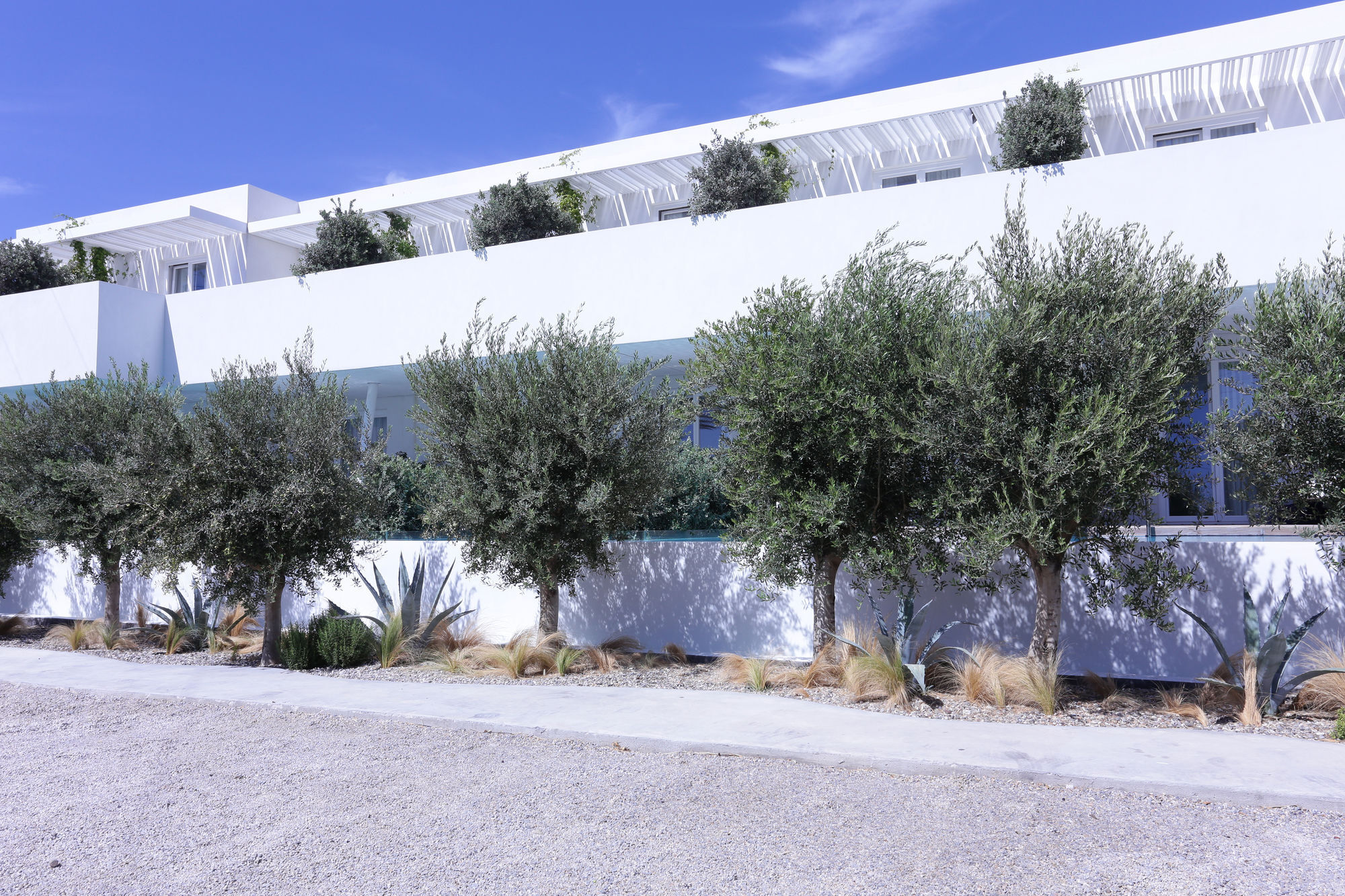 Mykonos Dove Beachfront Hotel Platis Gialos Exterior foto
